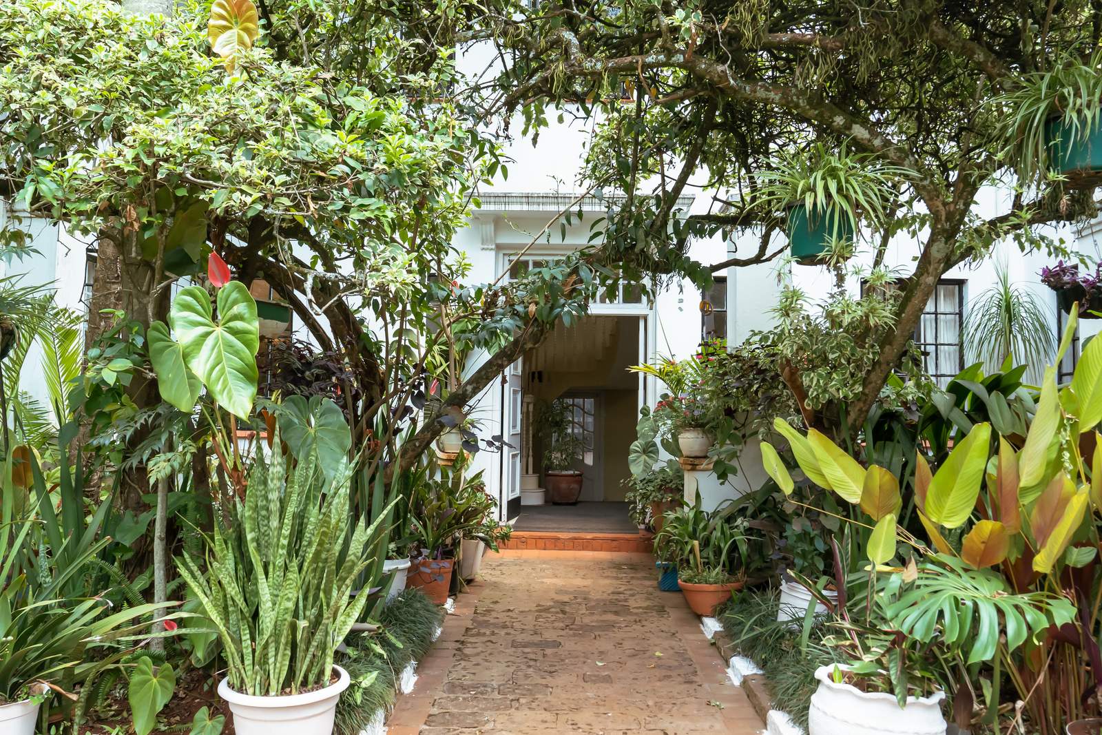 Lewa House - Gallery 15